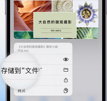 吉水apple维修中心分享iPhone文件应用中存储和找到下载文件