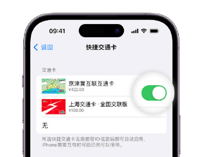 吉水apple维修点分享iPhone上更换Apple Pay快捷交通卡手绘卡面 