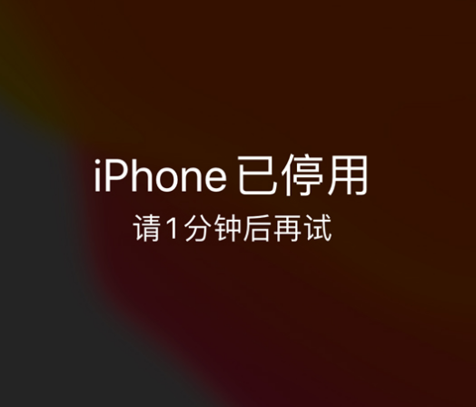 吉水苹果手机维修分享:iPhone 显示“不可用”或“已停用”怎么办？还能保留数据吗？ 