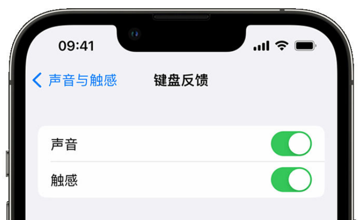 吉水苹果手机维修分享iPhone 14触感键盘使用方法 