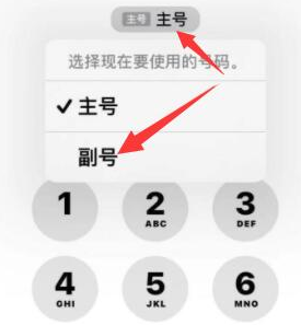 吉水苹果14维修店分享iPhone 14 Pro Max使用副卡打电话的方法 