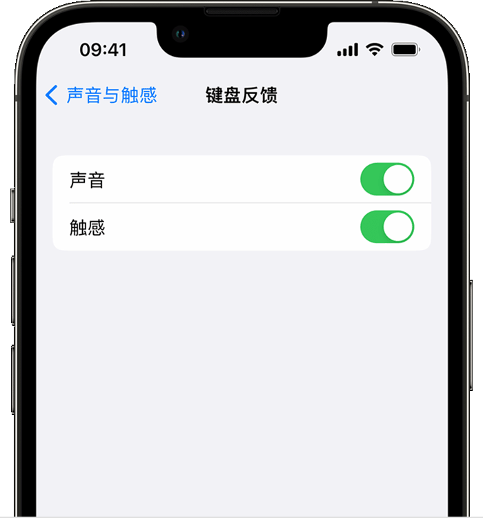 吉水苹果14维修分享iPhone 14 系列机型如何开启键盘声音或触感反馈 