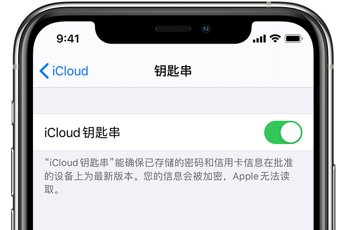 吉水苹果手机维修分享在 iPhone 上开启 iCloud 钥匙串之后会储存哪些信息 