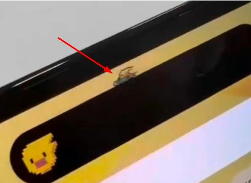 吉水苹果14维修分享iPhone 14 Pro Max灵动岛怎么养宠物 