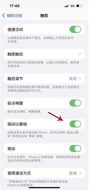 吉水苹果手机维修分享iPhone手机如何设置摇一摇删除文字 