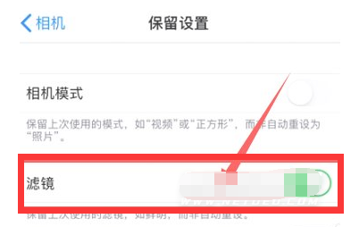 吉水苹果13维修分享iPhone13拍照有绿点是怎么回事 
