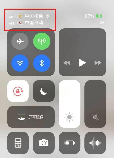 吉水苹果手机维修分享为 iPhone 12 双卡设置标签 